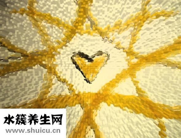 鮮面條怎么生產好吃