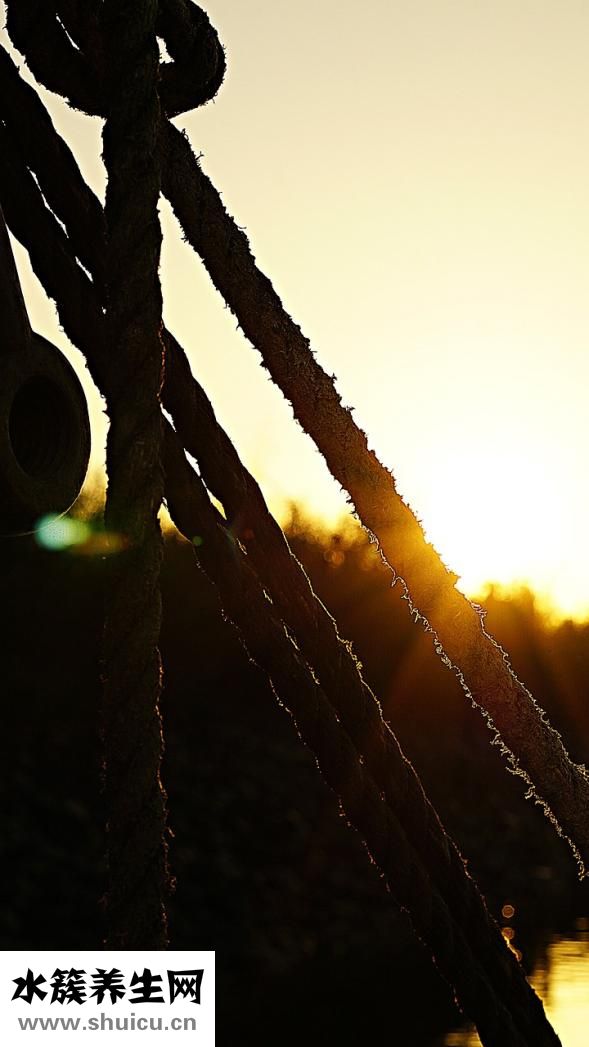 針口有淤青怎么辦