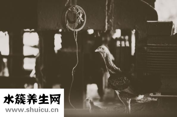 幾秒頭痛怎么回事