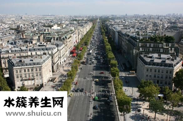 協和特需號怎么掛