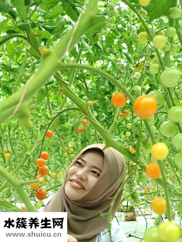 原牛拿回來怎么穿