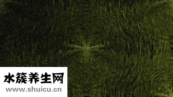 單面透視彩繪怎么辦