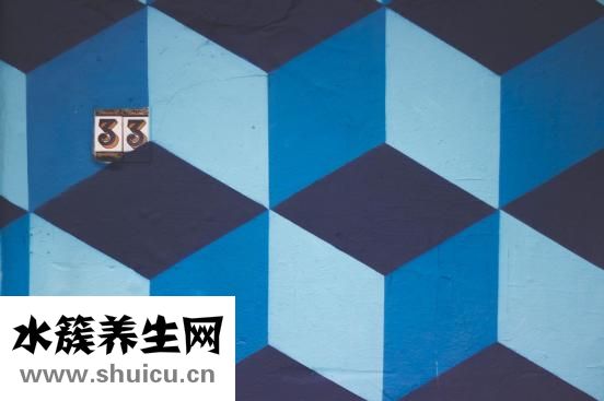 鱉血太多怎么保存