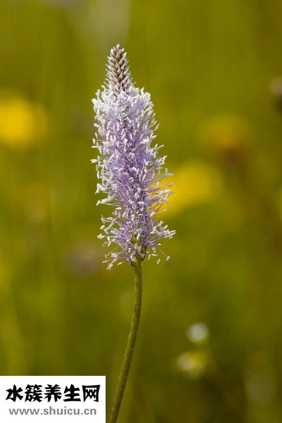 養(yǎng)車怎么記賬