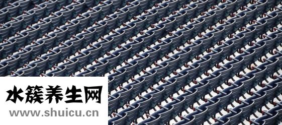 九宮飛怎么運用