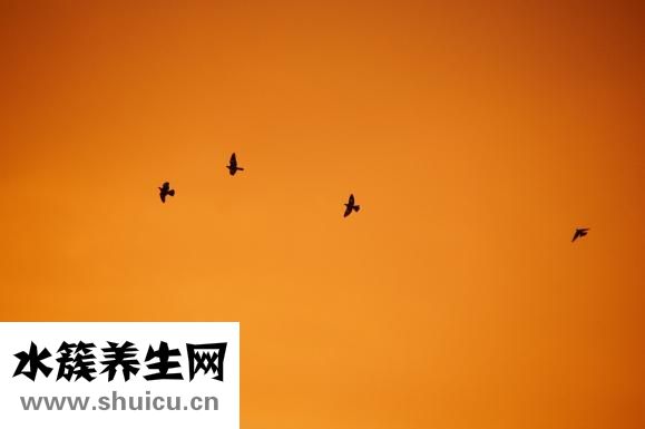 幾秒頭痛怎么回事