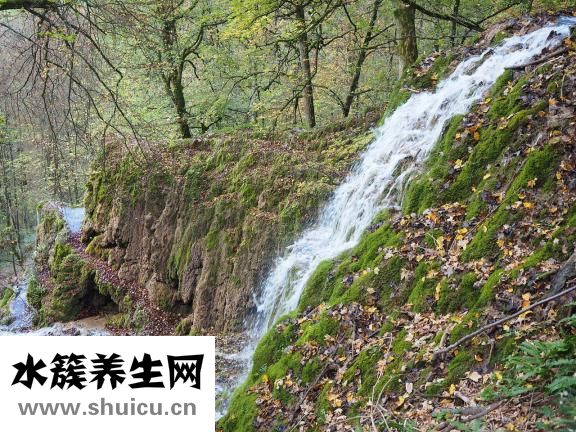 鼻結(jié)核怎么治療