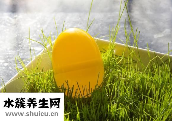 雞蛋布丁甜點怎么做