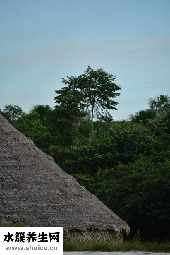 頸椎空洞癥怎么治療