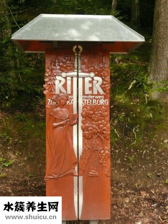 野生蜂窩怎么吃