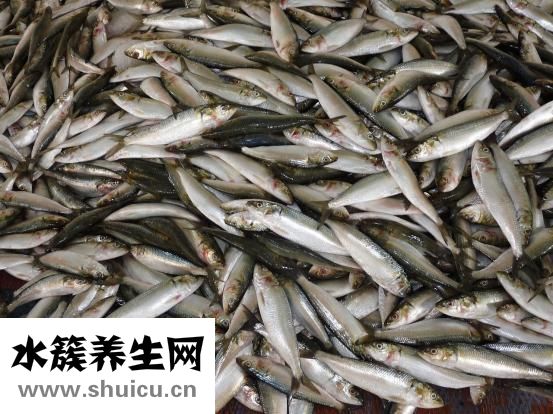 產婦人虛弱怎么辦