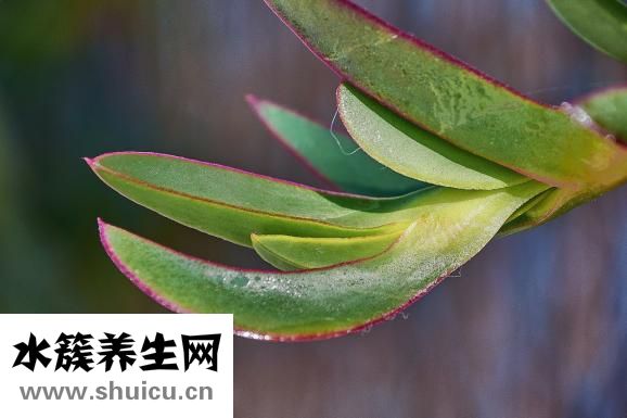 骨質(zhì)疏松怎么治