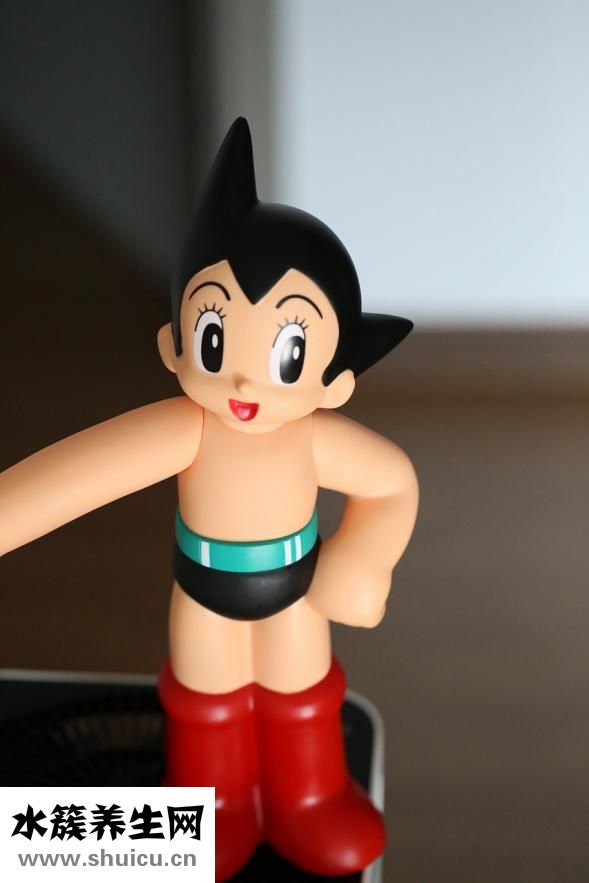 一年級的拼音怎么教