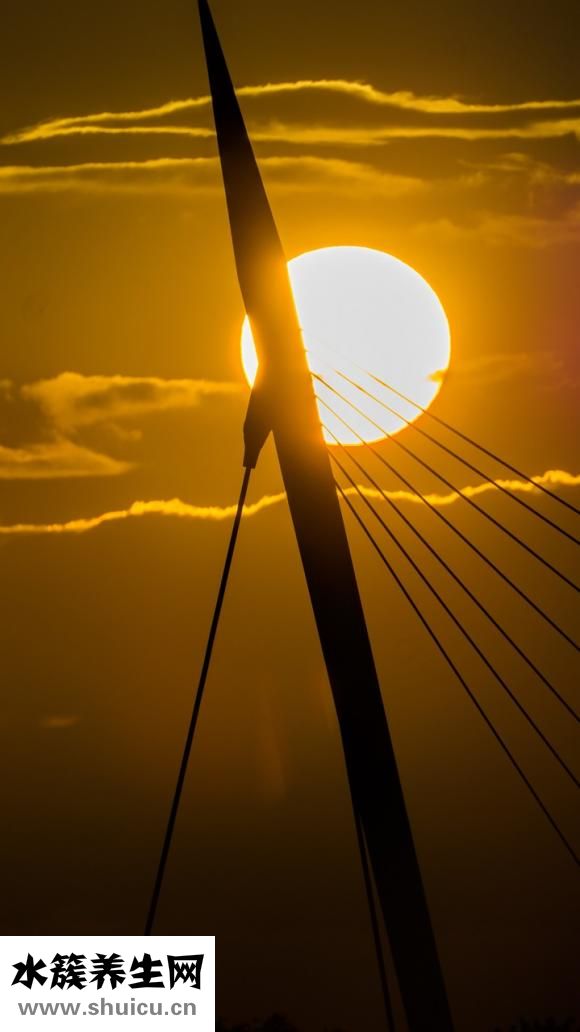 黃色碟片怎么區分