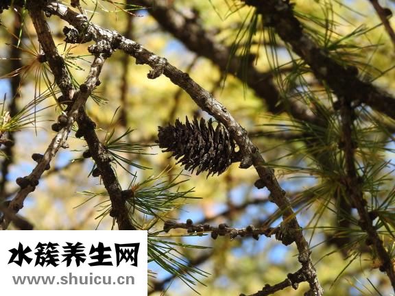 項鏈吊墜怎么綁