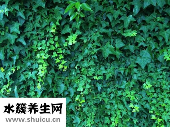 受傷紅腫怎么消腫