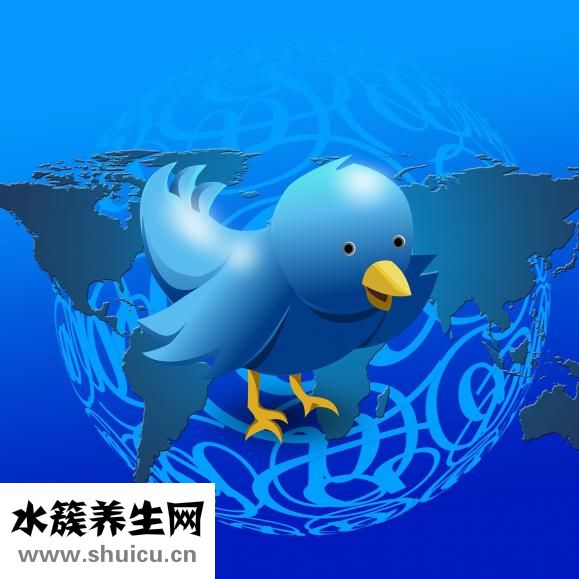 鼻子干出血怎么辦