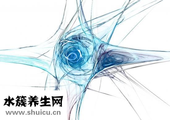 馬蹄蓮怎么分支