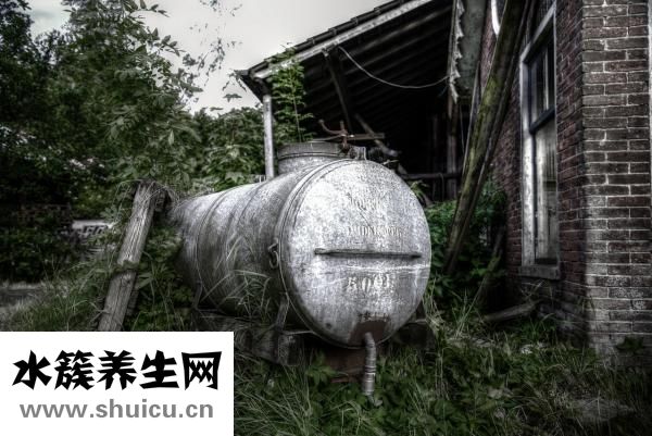 骨頭肥料怎么做