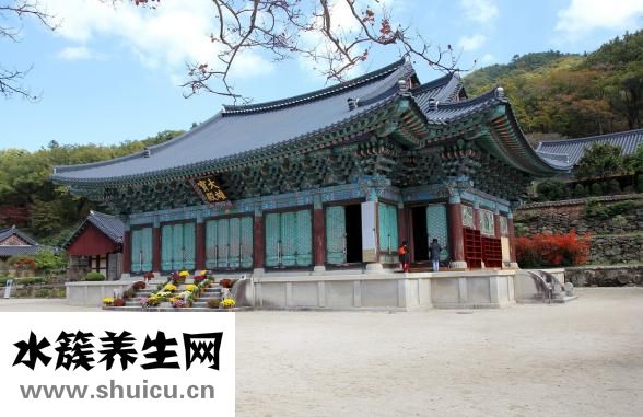 俠字怎么寫(xiě)