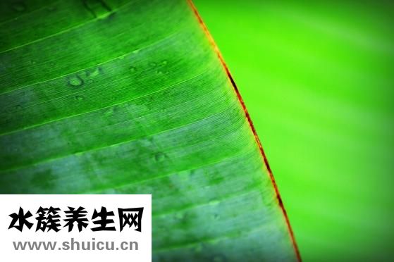 香蕉便怎么回事