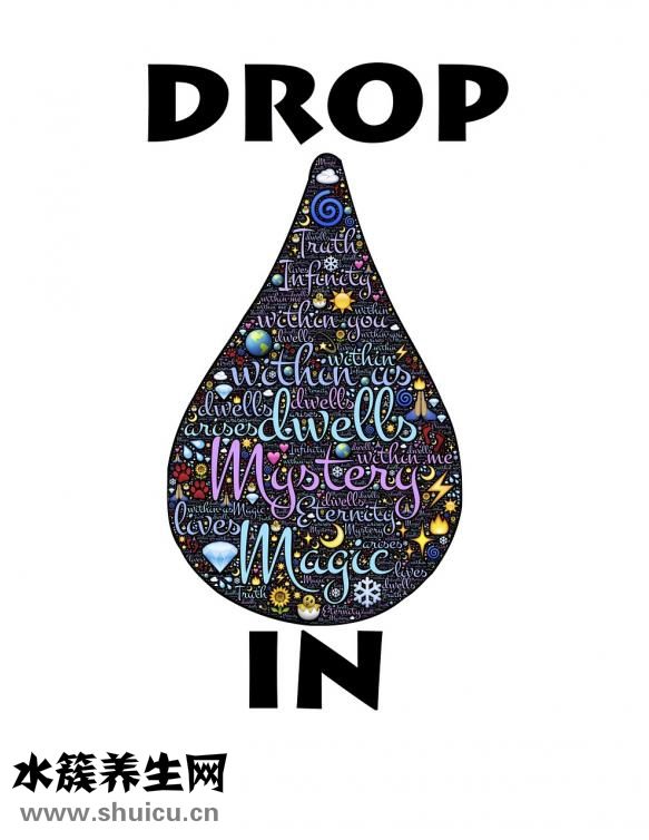 魔術拖把頭怎么換