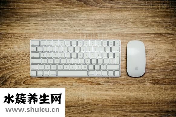 金絲熊不怎么吃東西