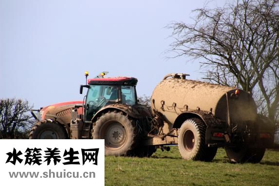 骨頭肥料怎么做