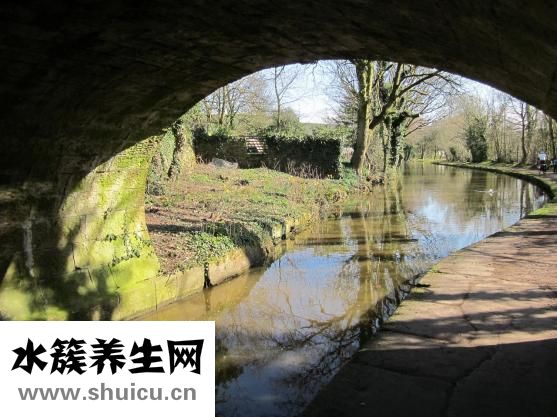 饅頭面和稀了怎么辦