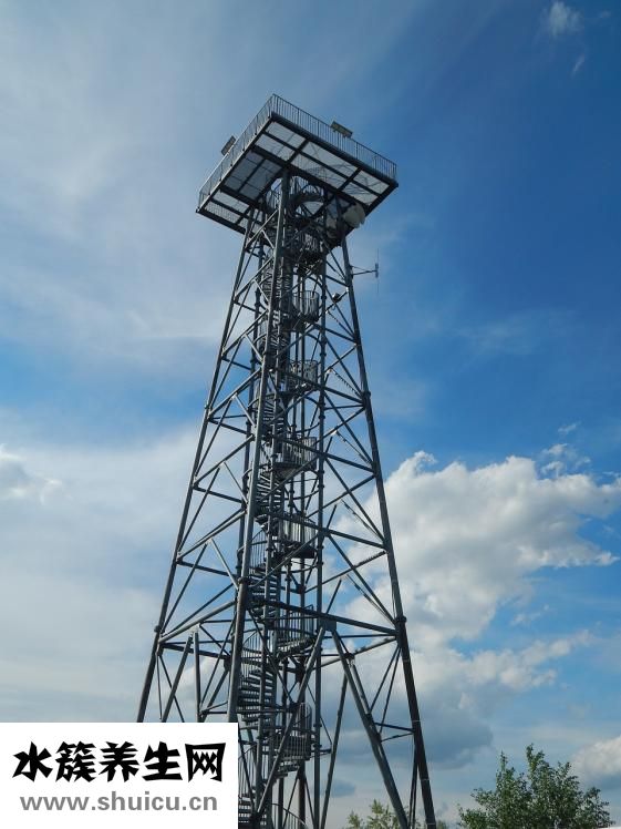 駝背怎么墊枕頭