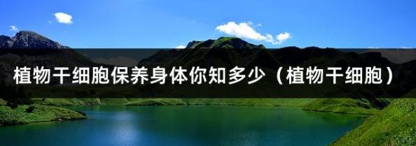 植物干細胞保養身體你知多少（植物干細胞）