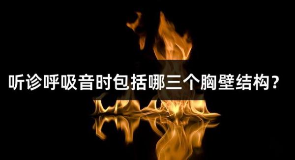 聽診呼吸音時包括哪三個胸壁結構？