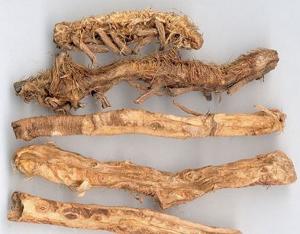 知母的功效與作用,生地黃的功效與作用