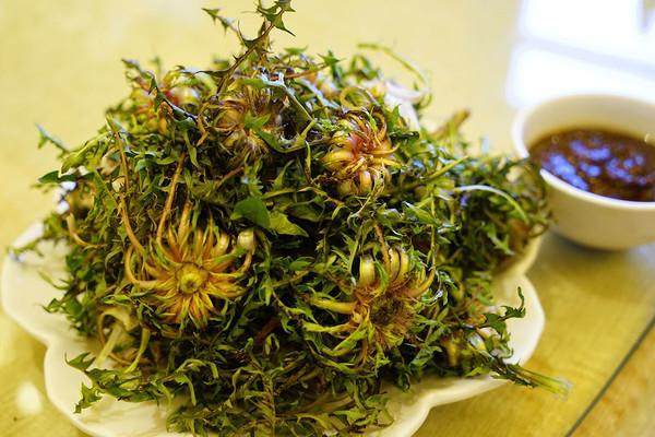 蒲公英泡水喝的功效與作用，金銀花配蒲公英泡水喝的功效與作用