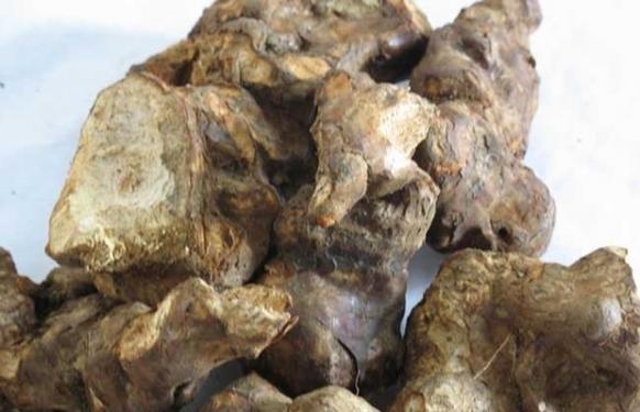 茯苓的功效與作用的功能與主治，白術茯苓的功效與作用的功能與主治