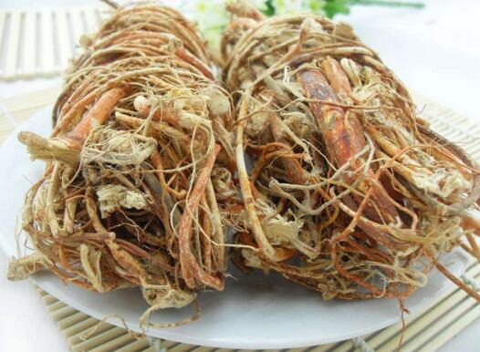 生的五指毛桃根的功效與作用(五指毛桃根的功效與作用)