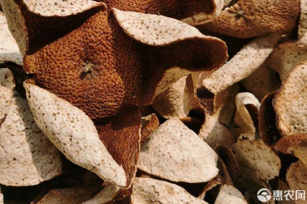 新會(huì)陳皮價(jià)格多少錢一斤（陳皮價(jià)格多少錢一斤）