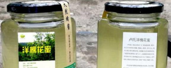 洋槐花加蜂蜜泡水喝什么功效（洋槐花蜂蜜的功效和作用）