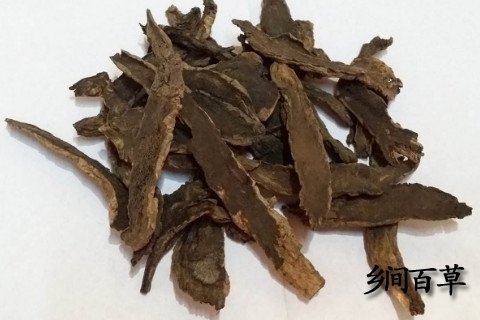 中藥玄參的功效與作用及禁忌(玄參的功效與作用及禁忌)