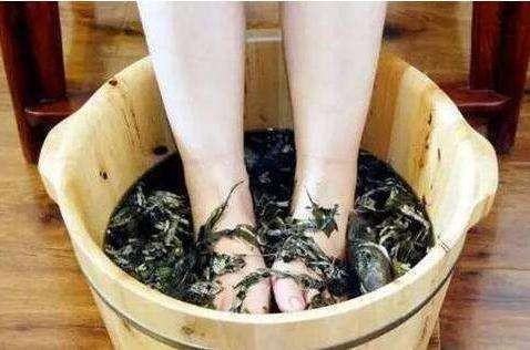 花椒老姜艾草泡腳的功效與禁忌（艾草泡腳的功效與禁忌）