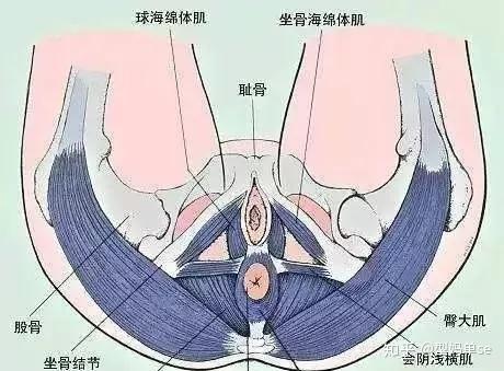 修復海綿體最好的方法哪個醫院（修復海綿體最好的方法）