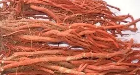 丹參配什么通血管好(丹參配什么通血管)