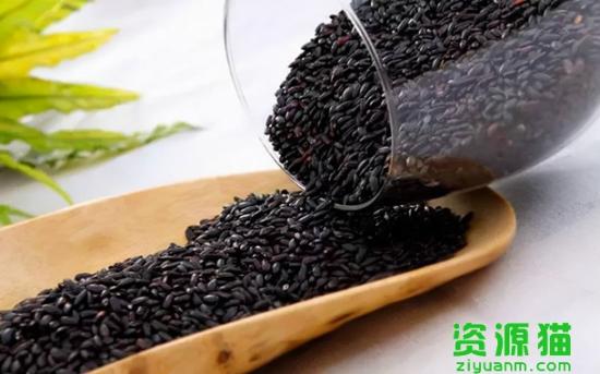 黑米飯怎么做好吃又軟（長期吃黑米的害處）