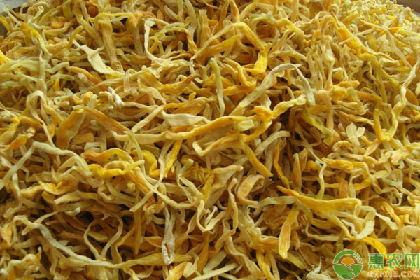 黃花菜的功效與作用和做法（黃花菜的功效與作用及食用方法）