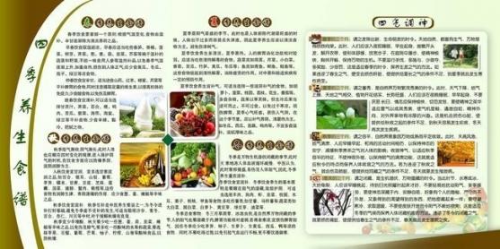 四季養生食材（四季養生食譜一覽表）