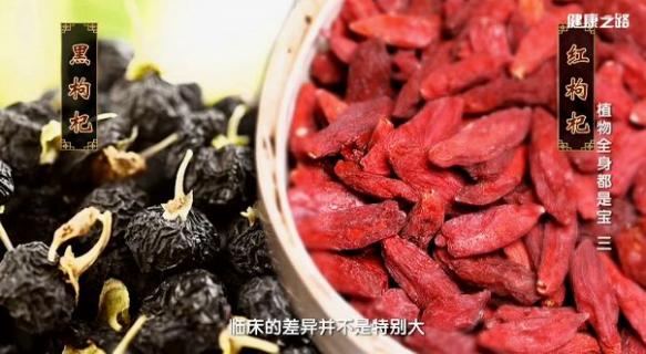 枸杞對(duì)男性性功能有用嗎（紅枸杞和黑枸杞哪個(gè)補(bǔ)腎效果好）