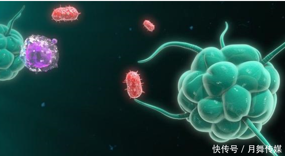 無癥狀感染者都是身體好的嗎(無癥狀感染者是體質好還是差)