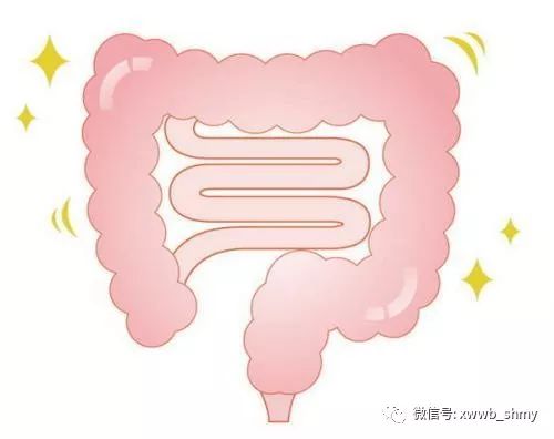 腸道不健康的六大表現腸道圖（腸道不健康的六大表現）