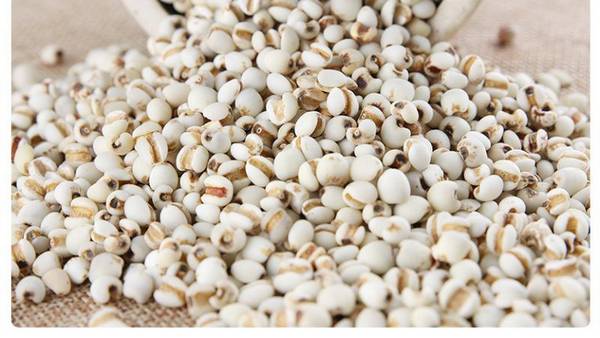 薏仁米怎么食用功效更好（薏仁米的食用方法）