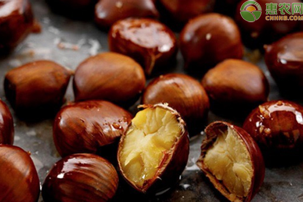 板栗的功效與作用禁忌人群（板栗的功效與作用禁忌）